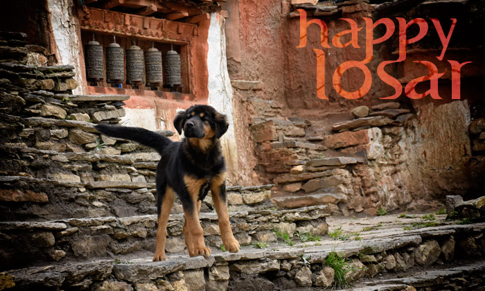 Happy Losar! Tibetan Year of the Earth Dog - American Himalayan Foundation